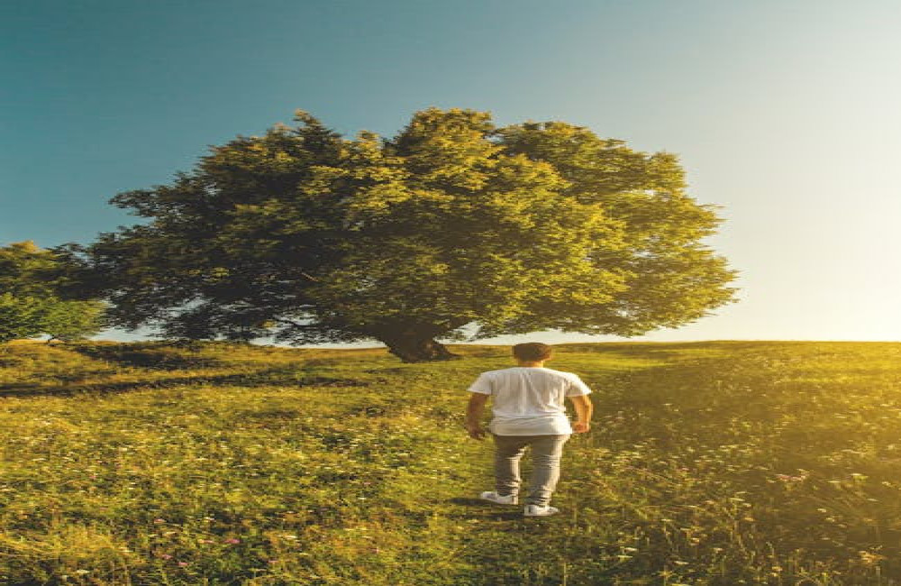 Hoeveel calorieën verbrand je met wandelen per uur?