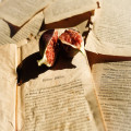 Is het inbegrepen of inbegrepen? De juiste spelling en het belang van gezondheidstaal