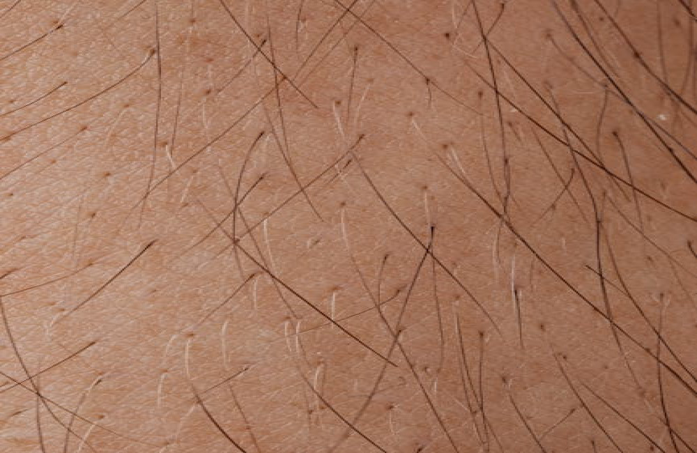 Wat is de connectie tussen je darmgezondheid en huidproblemen zoals acne en eczeem