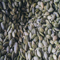 Wat doet magnesium echt voor je lichaam?